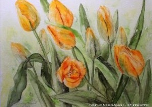 Tulpen 1 -  31,5 x 23,5