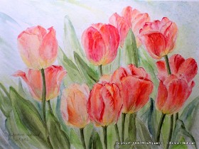 Tulpen 2  - 39,5 x 29,5