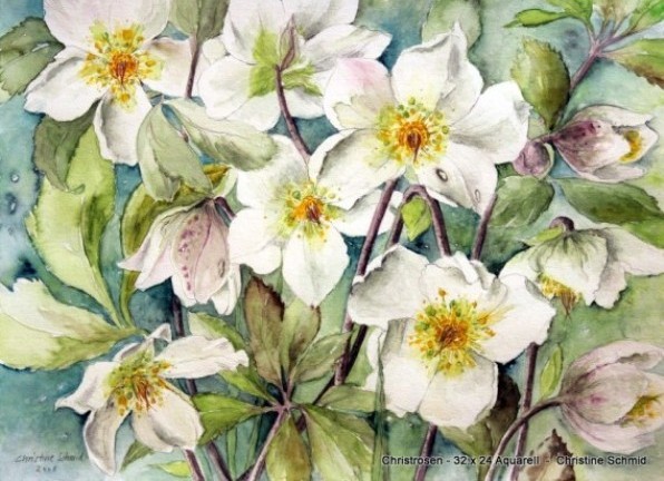 Christrosen 32.0 x 24.0