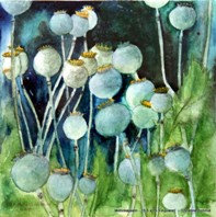 Mohnkapsel 15,5 x 15,5