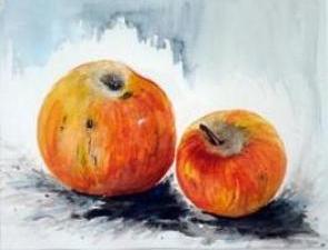 Kaiserapfel  40 x 30